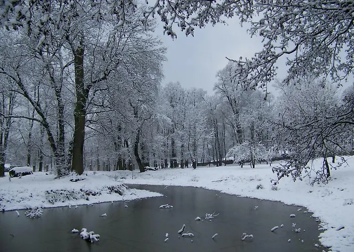 Palac Dabrowica Farmház