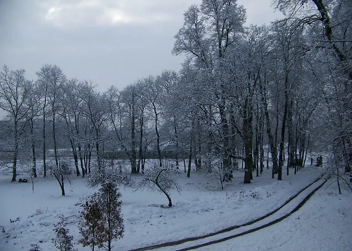 Pałac Dąbrowica Gospodarstwo agroturystyczne *